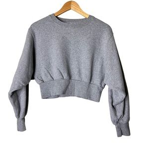 Aritzia Gray Cropped Sweatshirt